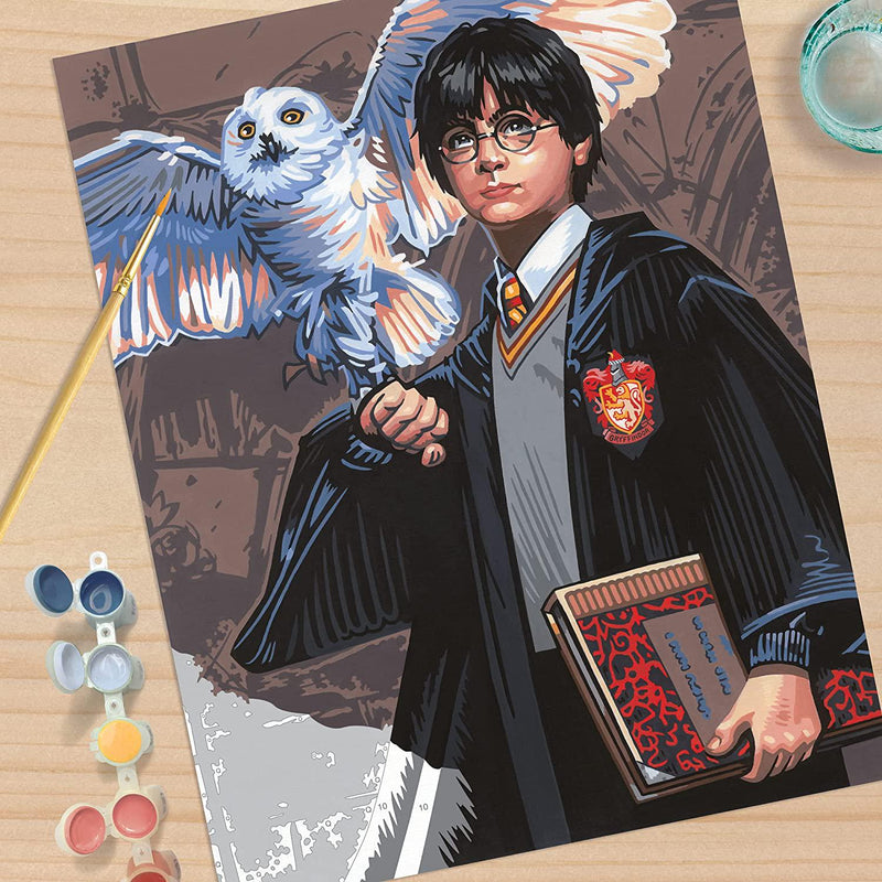 Dimensions PaintWorks Hedwig and Harry Potter Paint by Number Kit for